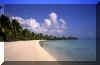 Beach.jpg (516315 bytes)