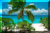 Vatulele_Palm_-_Internet.jpg (208258 bytes)