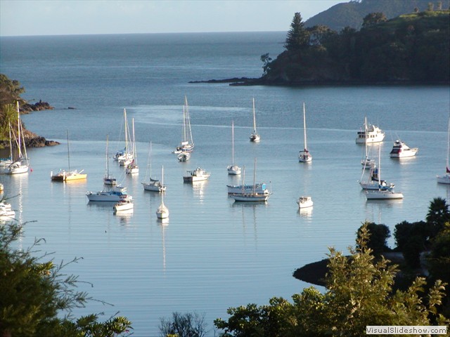 Mangonui close