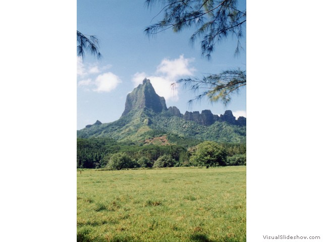Moorea mt