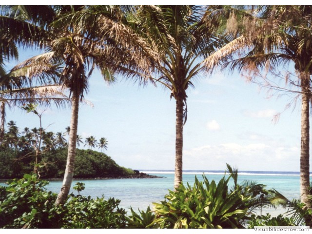 Raro view