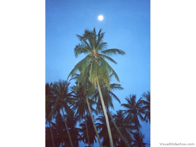 Tahiti moon