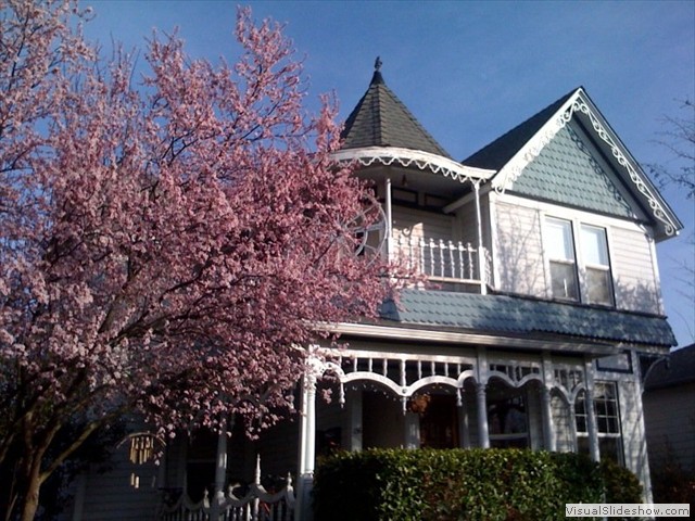 victorian with cherry tree
