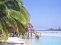 Aitutaki26