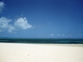 Fafa view