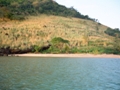 Fiji10