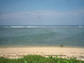 Fiji surf