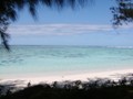Raro frame