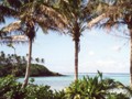 Raro view