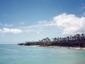 Samoa2