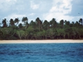 Tonga King's island close
