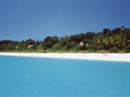 Vatulele powder