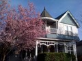 victorian with cherry tree