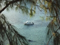 Wandigi boat