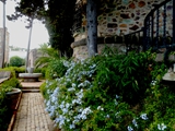 P1090227
